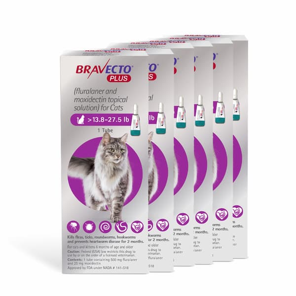 Bravecto Plus for Cats