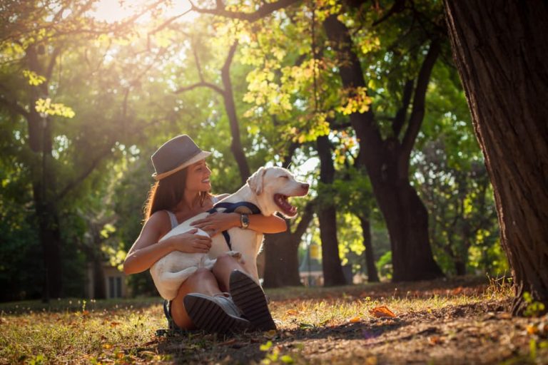 Women hugging dog at park