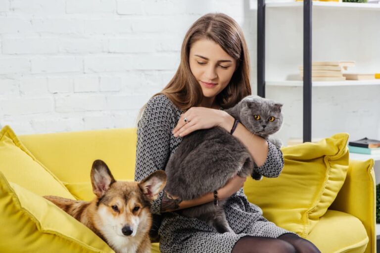 Pet parent with dog and cat on couch