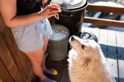 How to Keep a Dog Out of the Trash