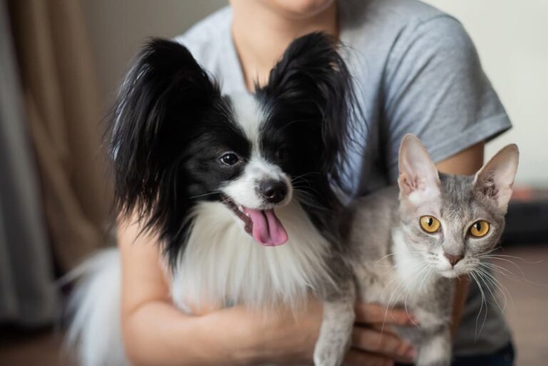 Pet parent holding dog and cat on lap