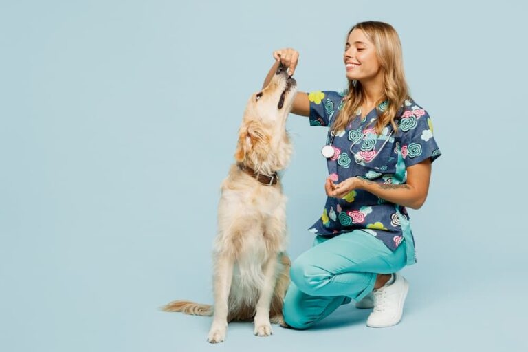 Veterinary technician giving dog allergy medicine