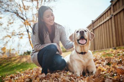 5 Dog Heart Health Supplements Veterinarians Recommend