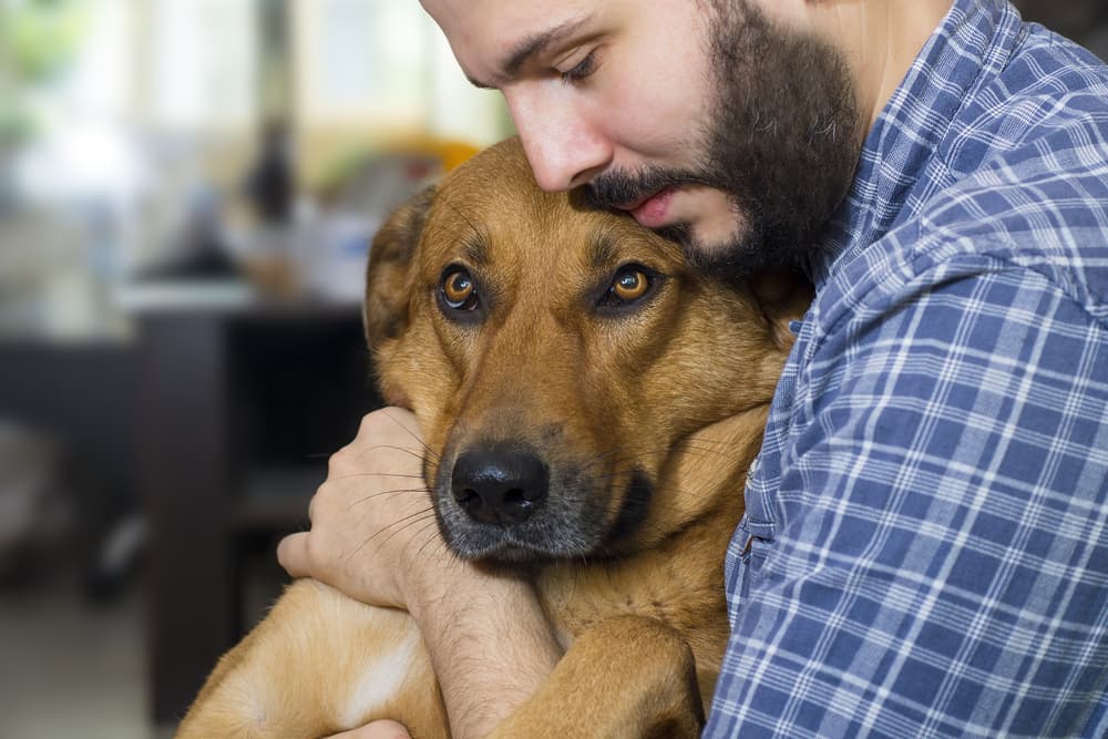 Lung Cancer in Dogs