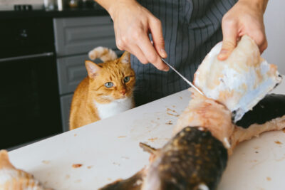 15 Poisonous Foods for Cats