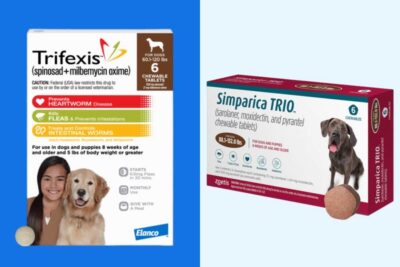 Trifexis vs Simparica Trio: Comparing These Popular Dog Preventatives