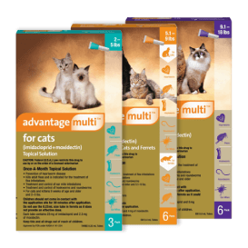 Advantage® Multi for Cats