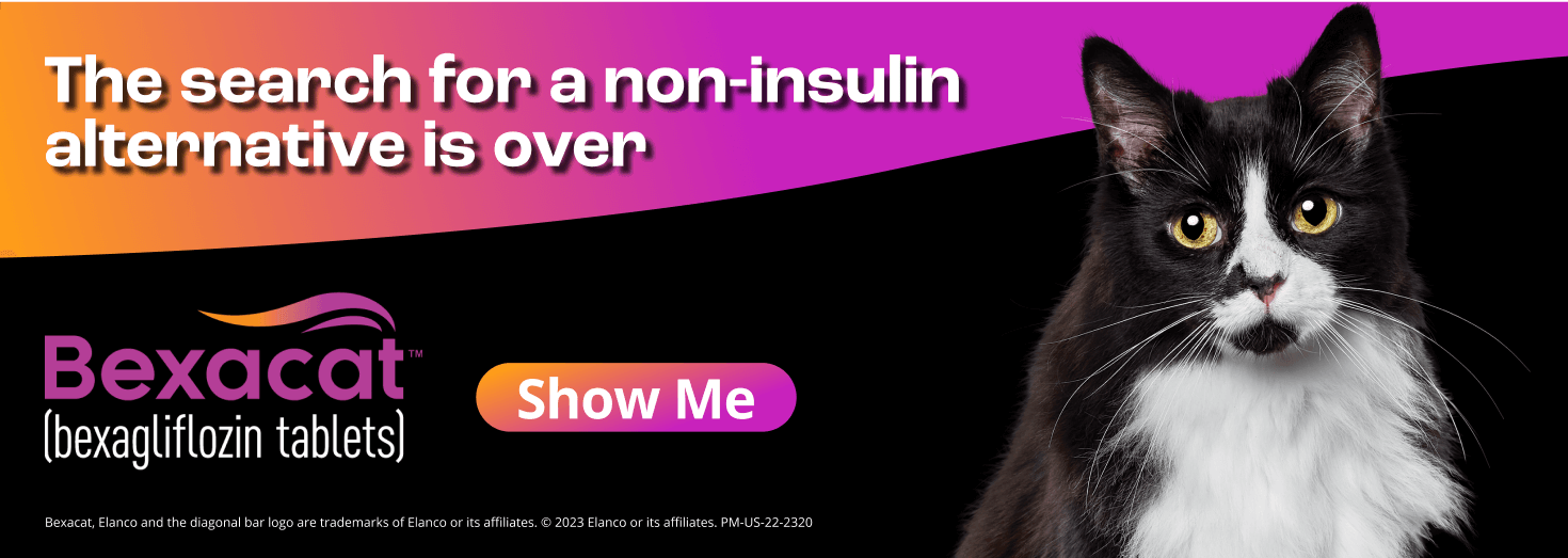 The search for a non-insulin alternative is over. Bexacat. Show Me