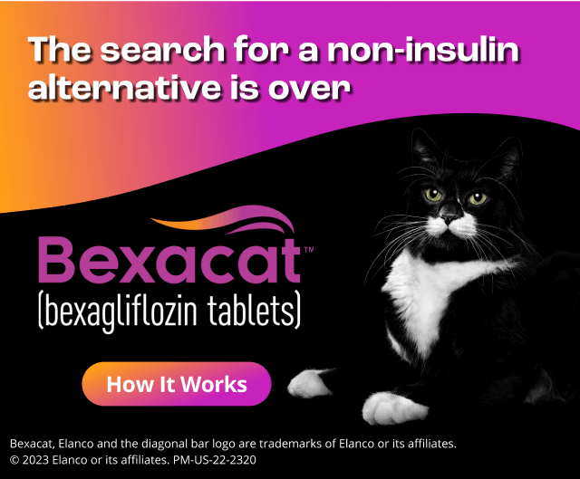 The search for a non-insulin alternative is over. Bexacat. How It Works