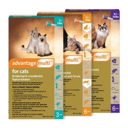 Advantage® Multi for Cats