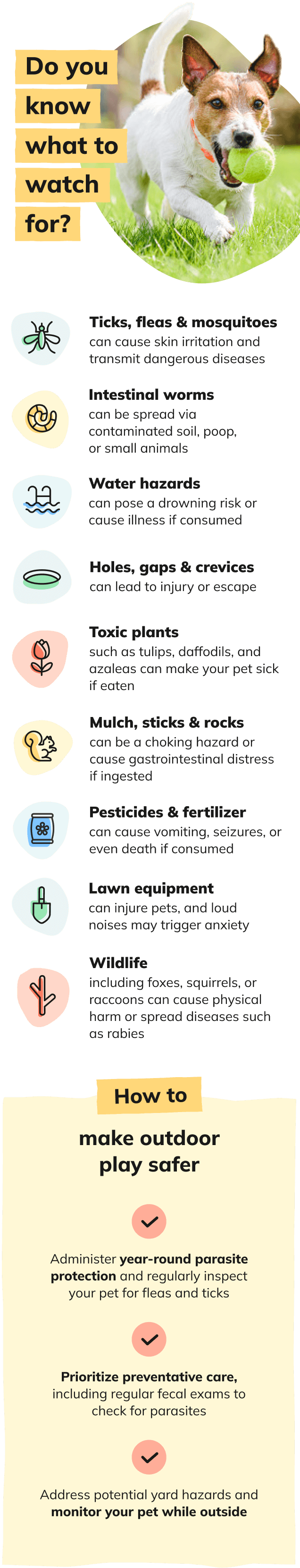 Signs Infographic