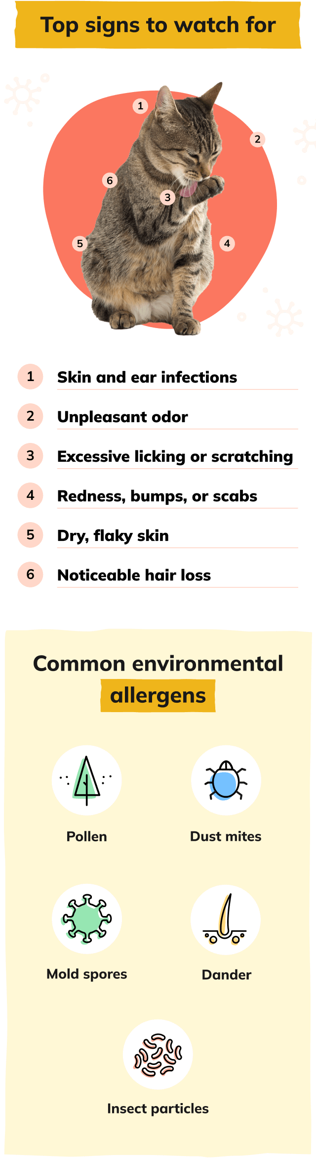 Signs Infographic