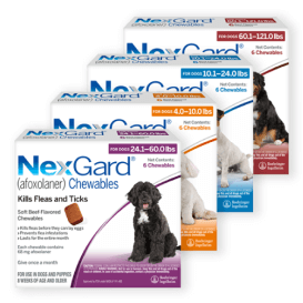 NexGard®