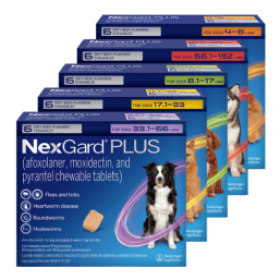 NexGard® Plus