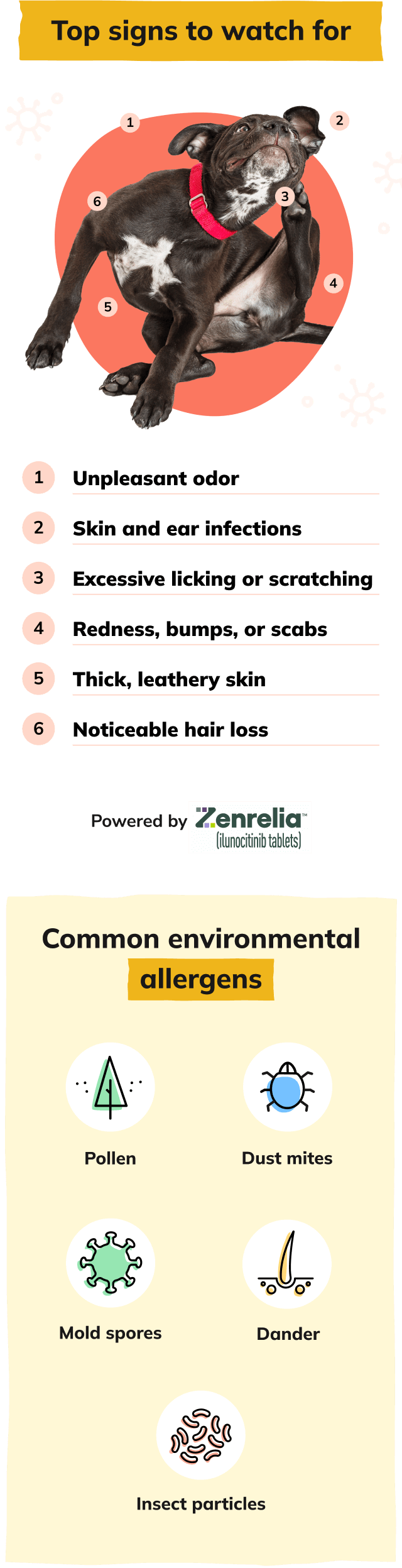 Signs Infographic